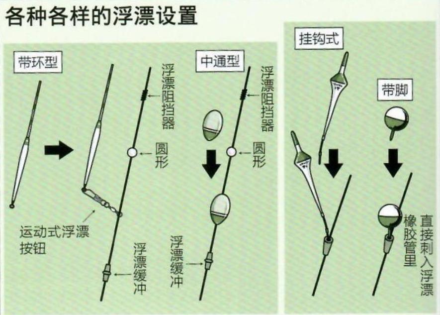 垂钓宝典，钓鱼书籍下载指南