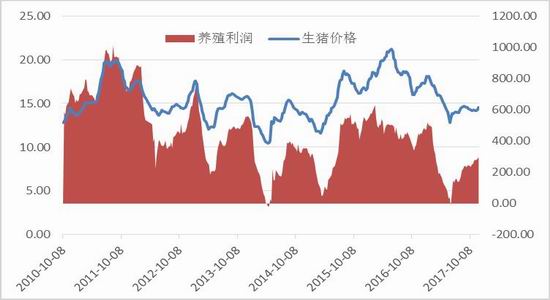 淀粉期货最新动态深度解析报告