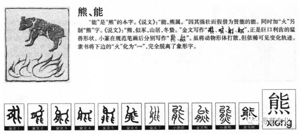 熊姓官员的最新贡献与责任担当