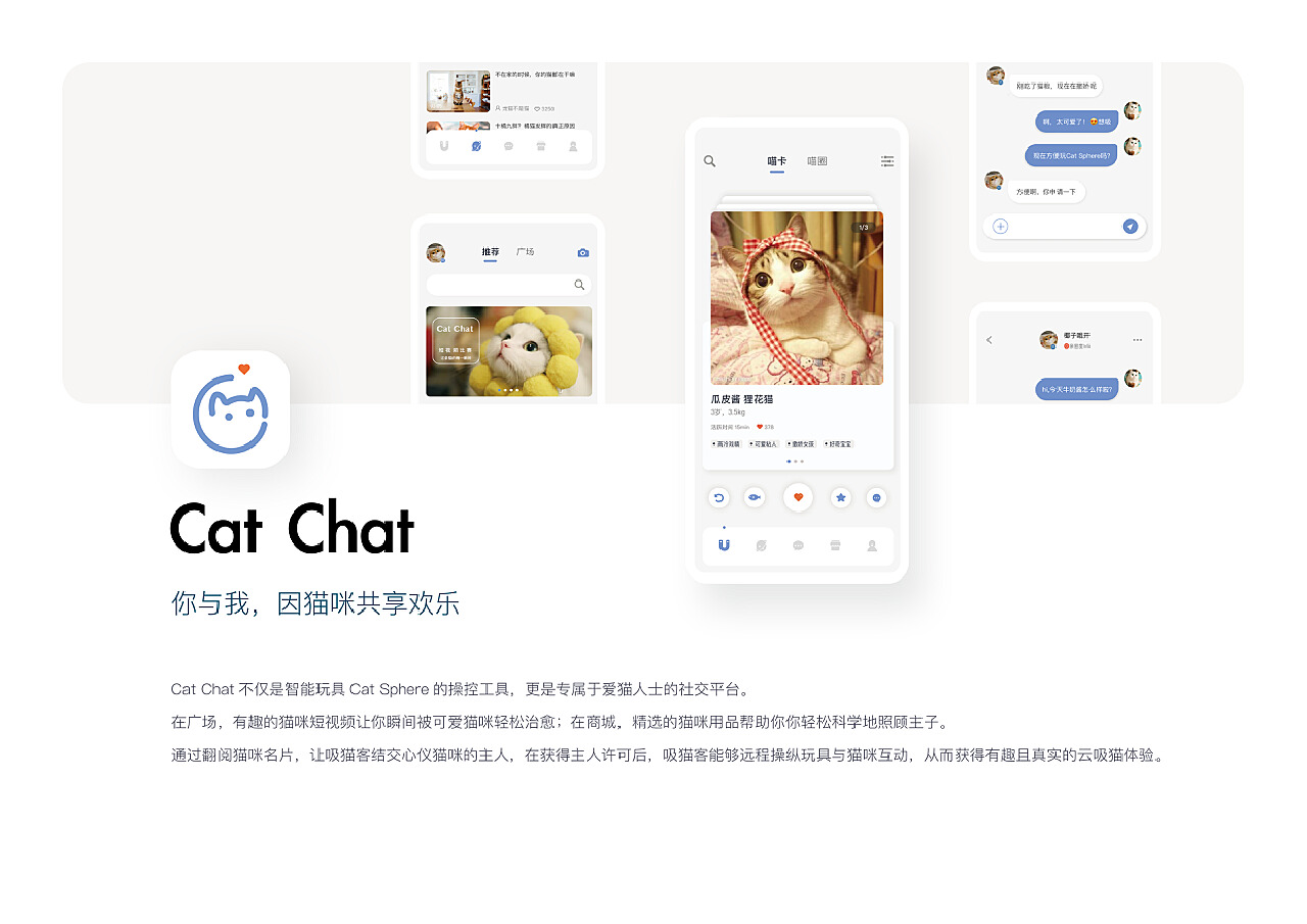 探索猫咪世界，猫咪.apk应用乐趣无限