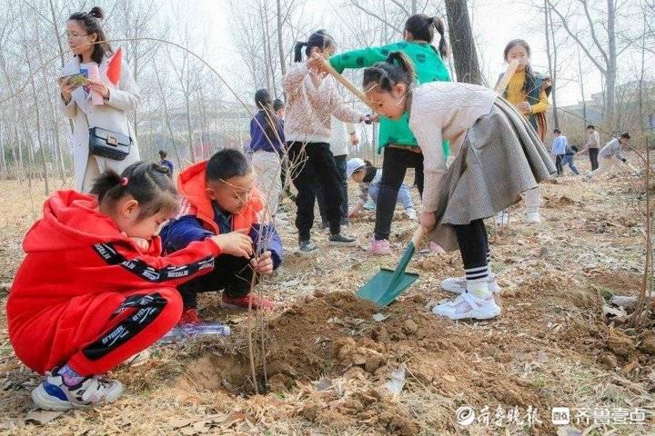 焕发下载，革新数字内容获取方式的强大力量