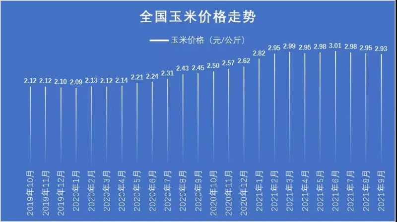 今日玉米价格行情解析