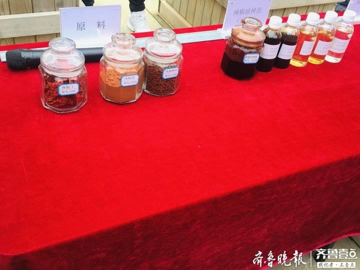 安顺最新招聘动态与职业发展机遇挑战解析