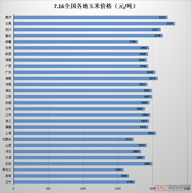 今日玉米价格走势分析，最新动态与趋势展望