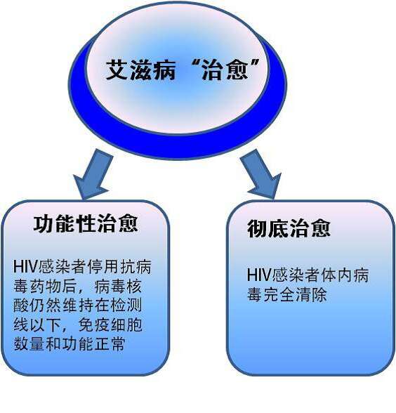 艾滋最新治疗，希望之光引领未来之路的突破