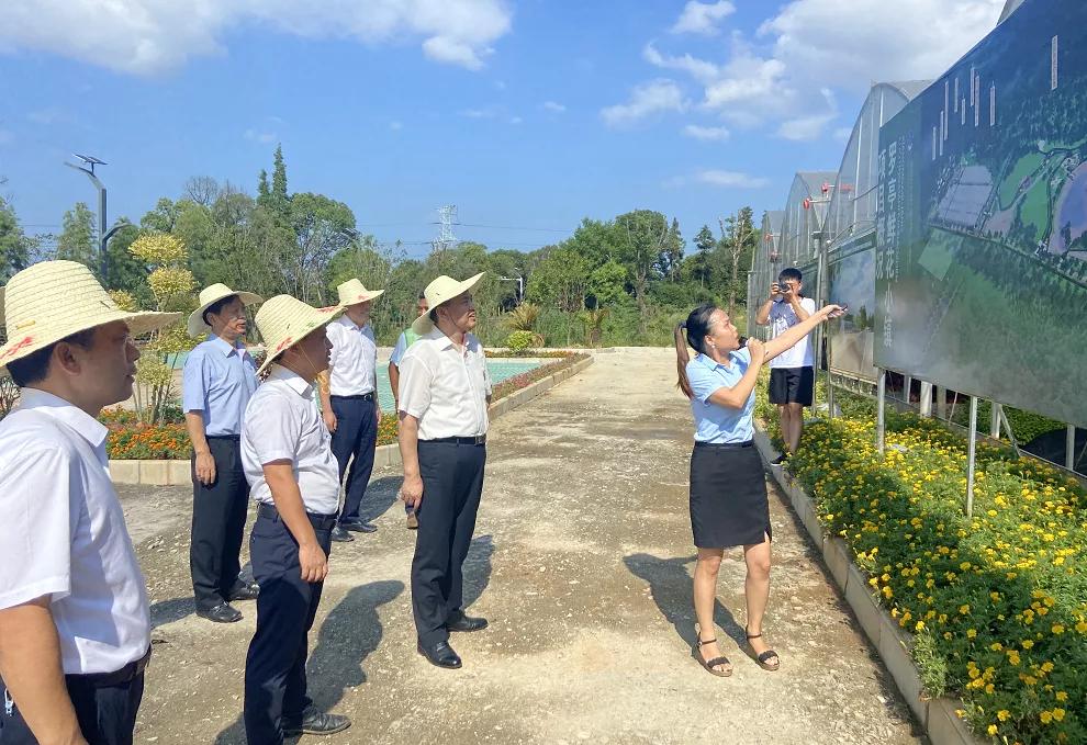 湾里未来城市新蓝图规划揭晓，塑造未来城市新面貌