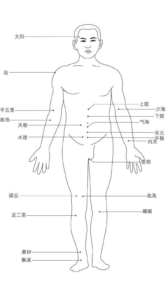 穴位大全下载，开启中医宝藏探寻之旅