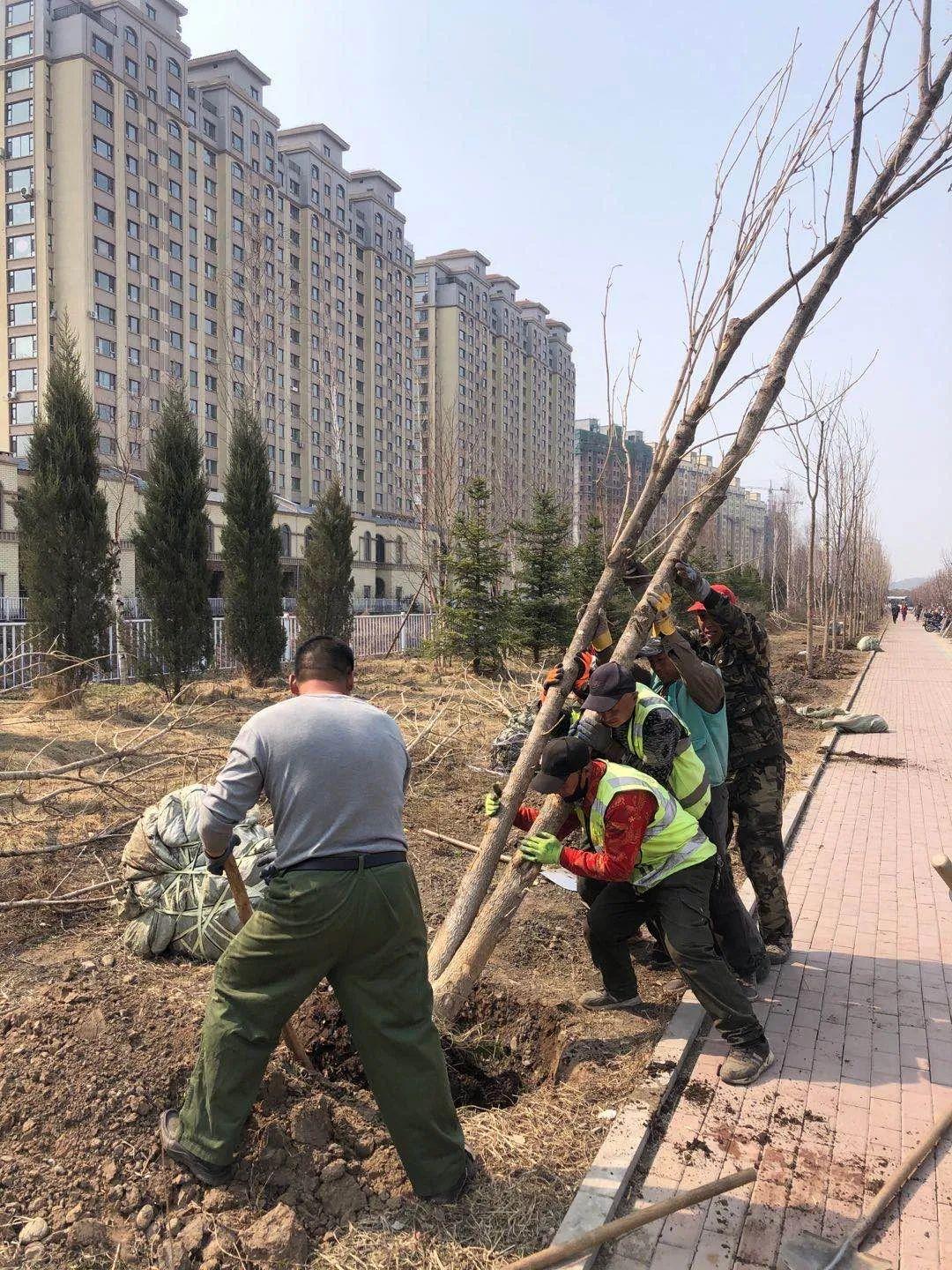 成功案例 第10页