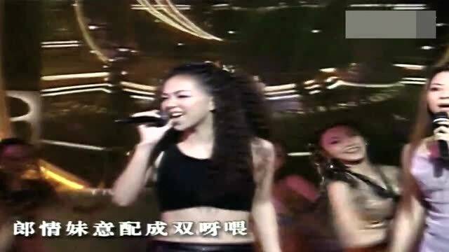 站在高岗上，深度解读张惠妹的音乐传奇，下载与影响