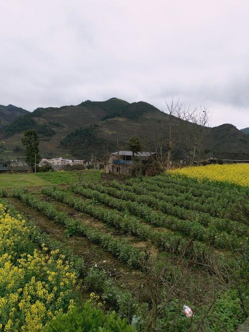 云山乡最新天气预报