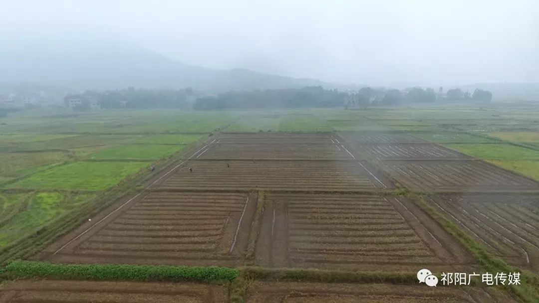 仙槎桥镇最新天气预报