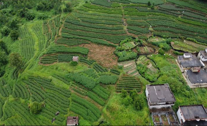 箭峡村民委员会最新天气预报