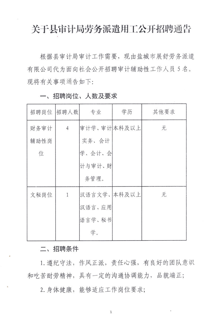 洛南县审计局招聘启事概览