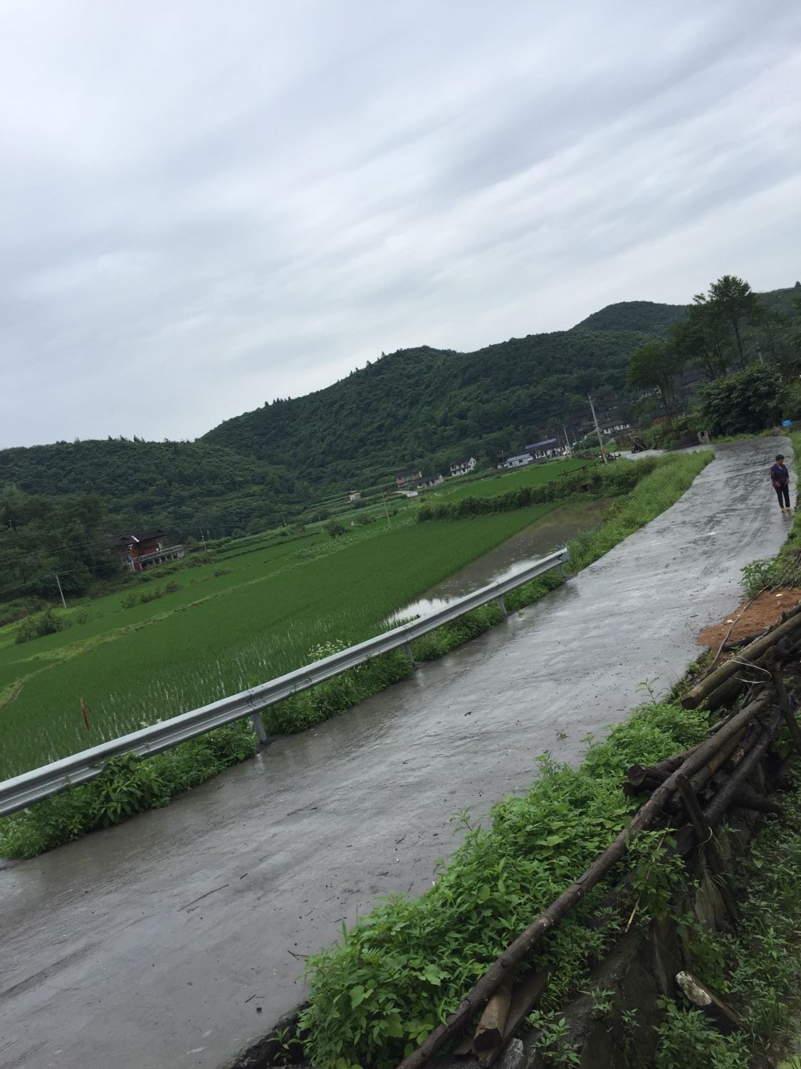 磨湾村委会天气预报更新通知