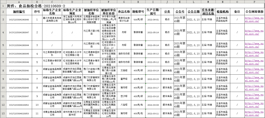 玉溪市城市社会经济调查队最新项目深度探究报告