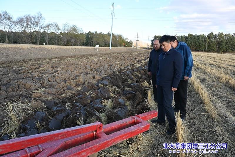 宁安农场最新新闻，持续发展与绿色创新的引领者